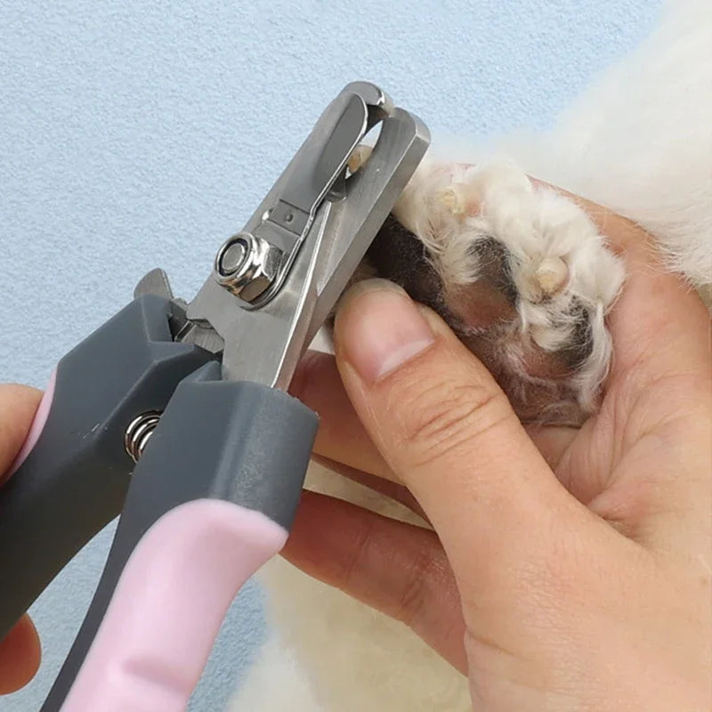 Professional Pet Nail Clipper – Stainless Steel Dog & Cat