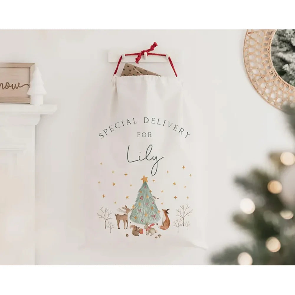 Custom Santa Sack Set 2Pcs | Baby's First Christmas Gift Bag Christmas Gift Sack Peaceful Pleasures Health and Wellness
