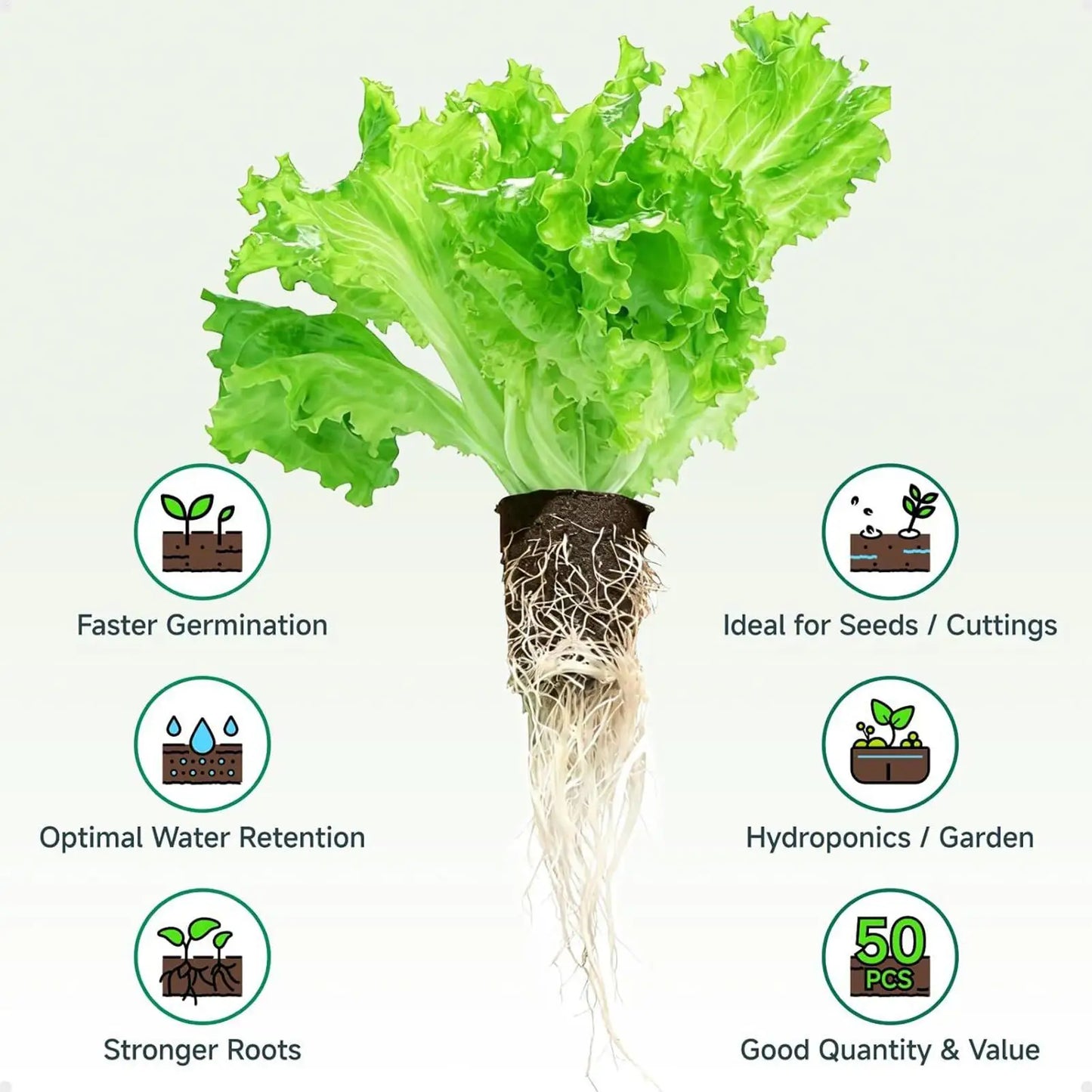 50-Pack Hydroponic Grow Sponges | Seedling Starter Plugs