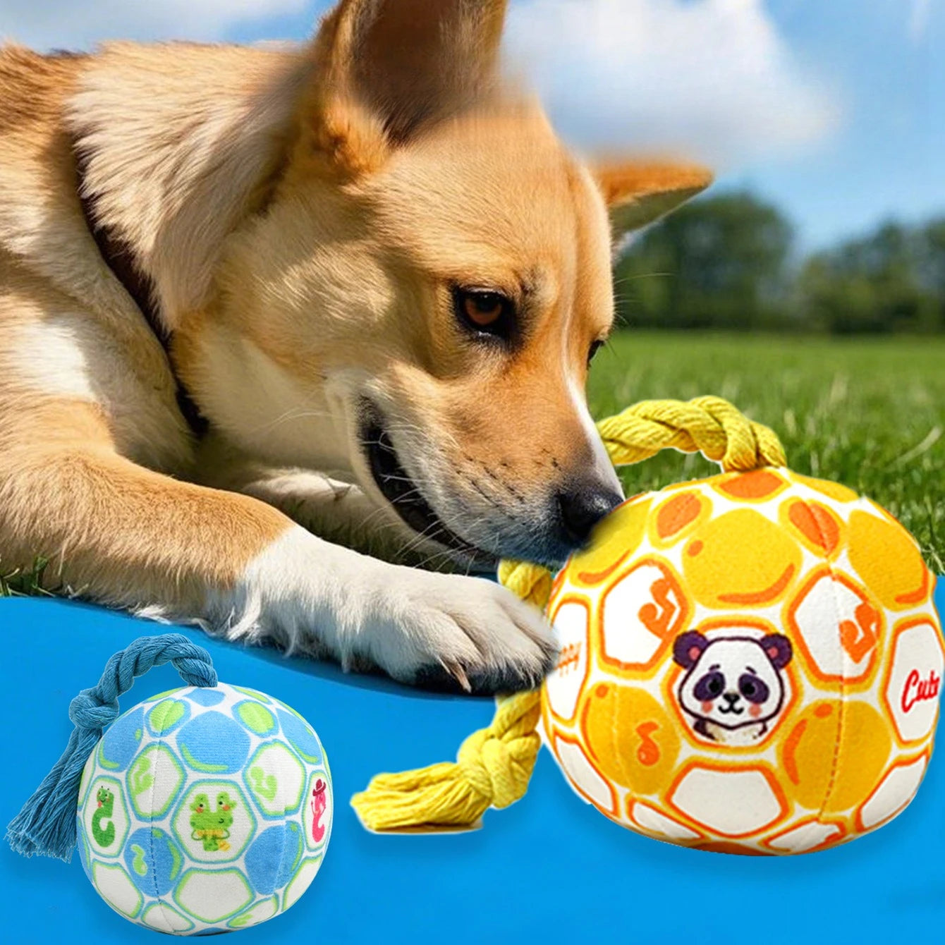 Durable Dog Squeaky Chew Toy – Teething & Boredom Relief