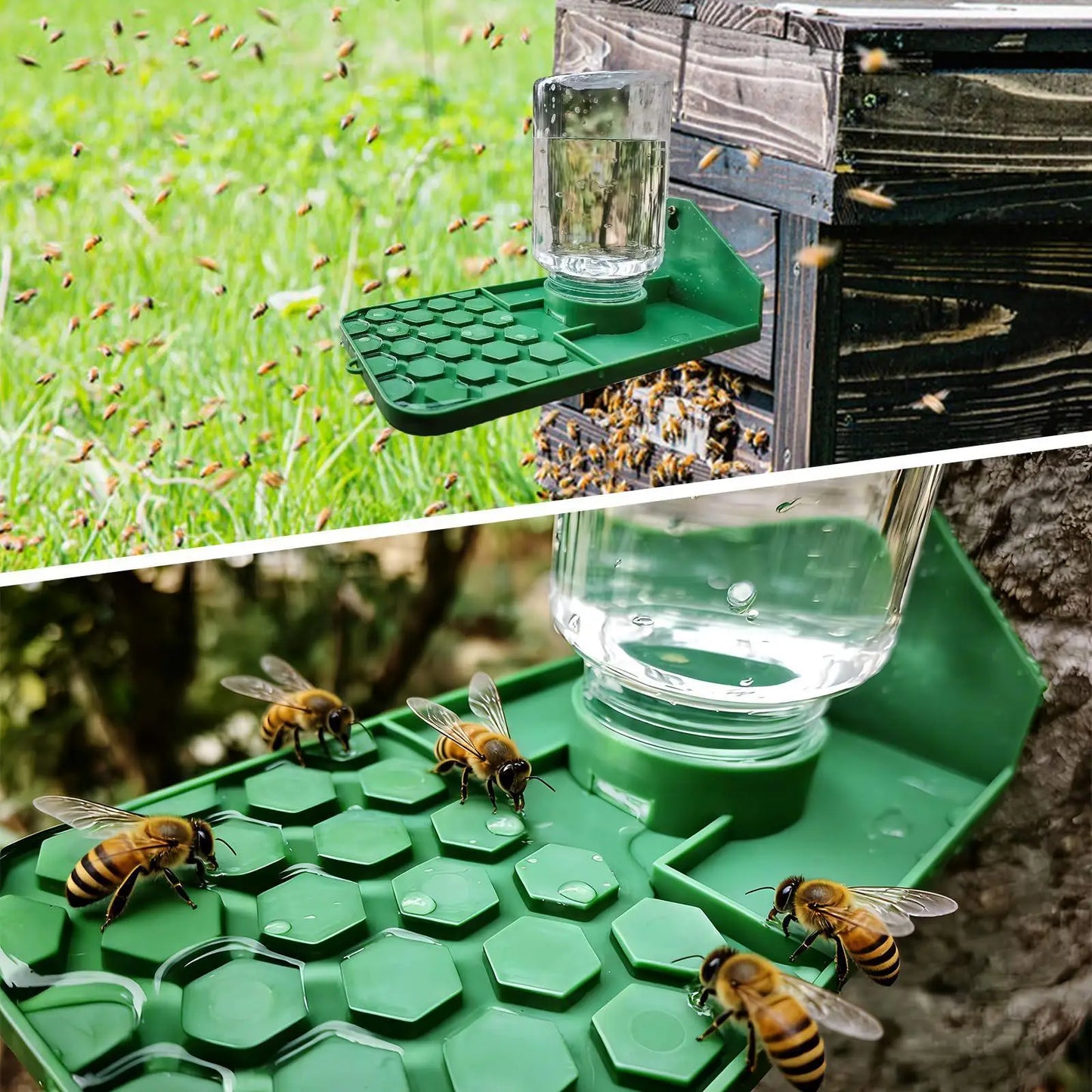 Leakproof Multi-Hole Water Feeder Bowl for Bees, Geckos & Reptiles