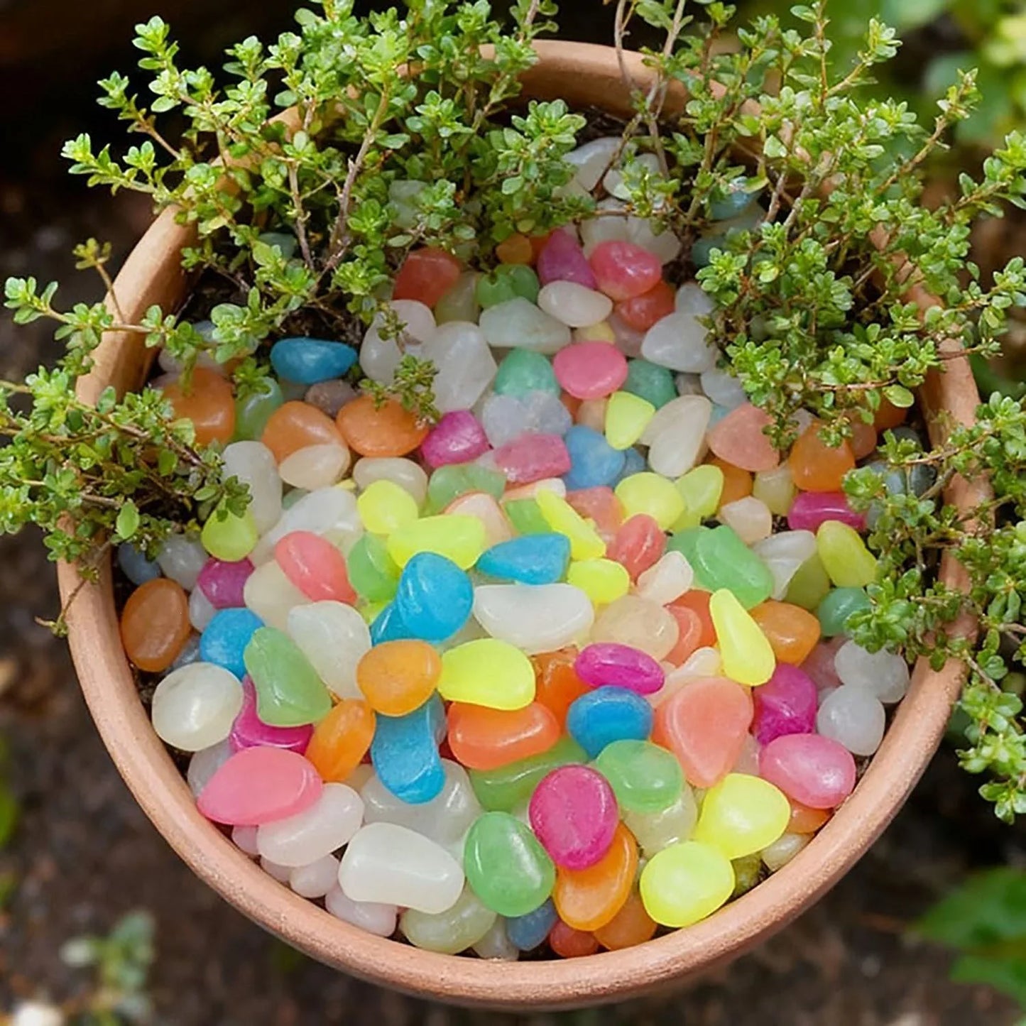 Glow in the Dark Decorative Pebbles | Garden & Aquarium Stones