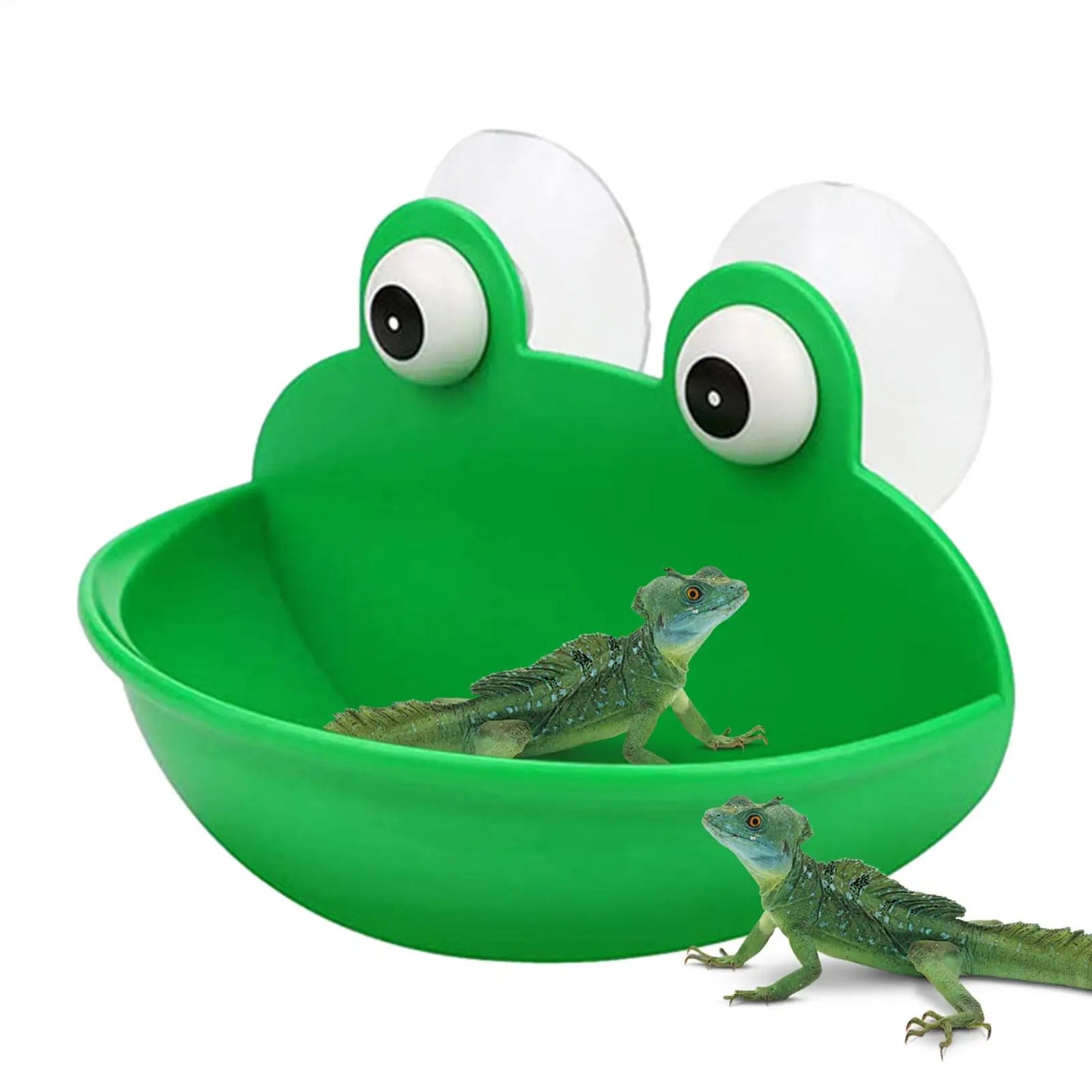 Frog Habitat Suction Cup Basking Platform | Reptile Tank Decor