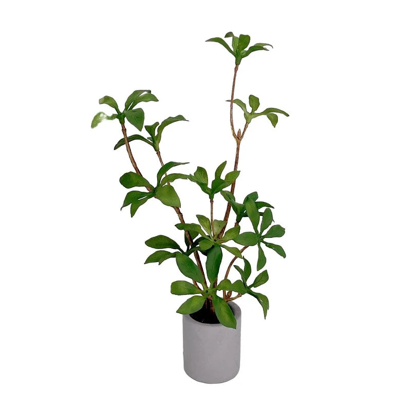 1:6 Dollhouse Miniature Potted Plant Bonsai Decor Accessory