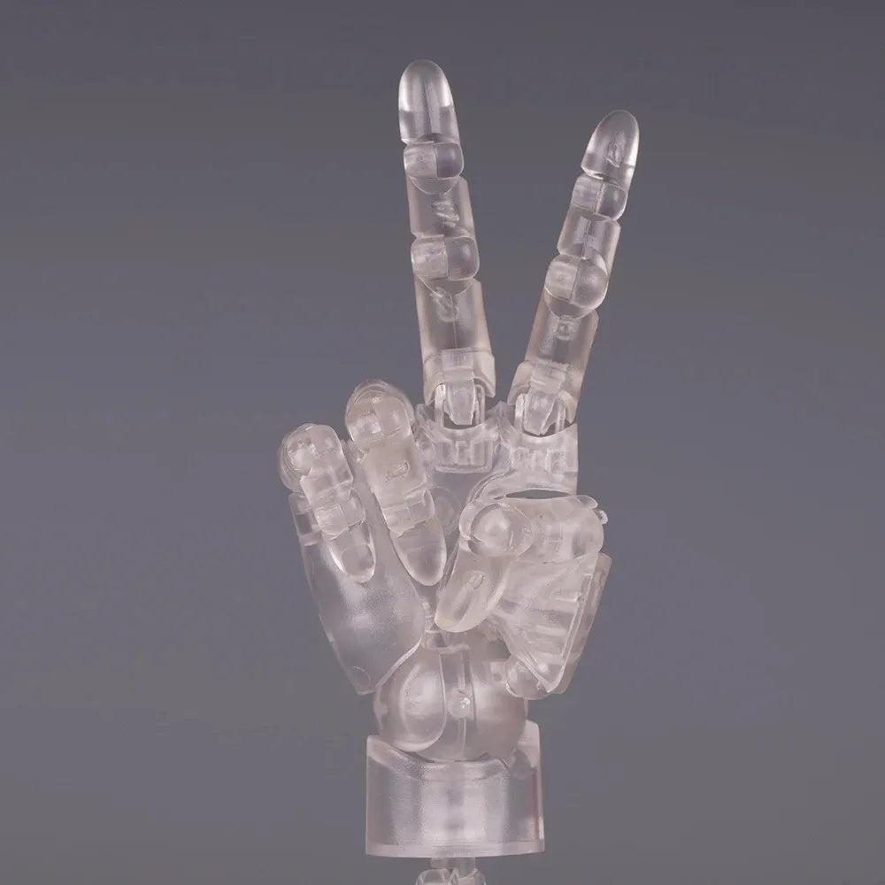 1:2 Scale Articulated Hand Model – Posable Fingers for Artists