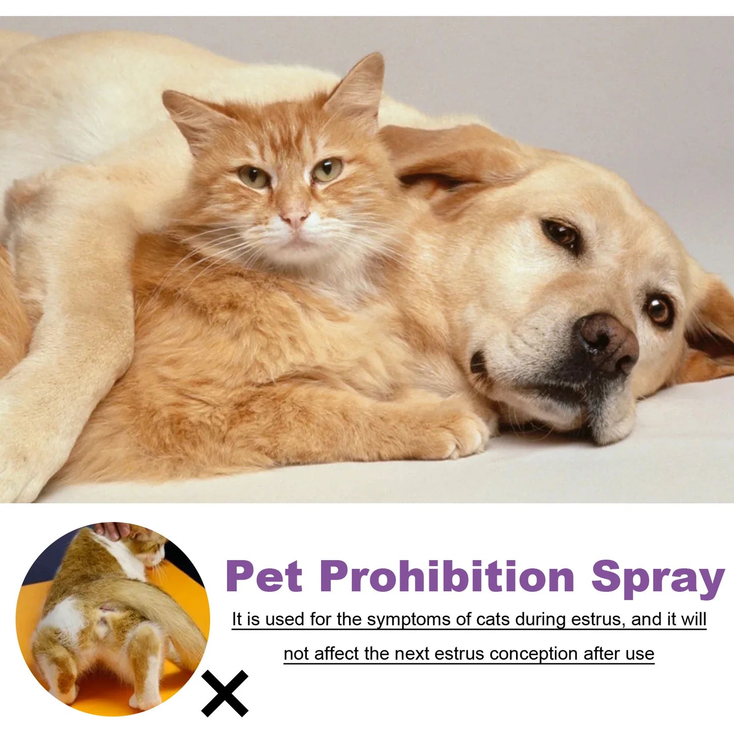 Pet Calming Pheromone Spray – Anxiety & Estrus Relief for Cats & Dogs