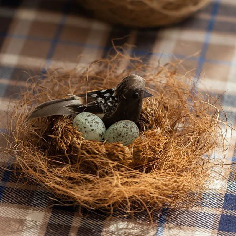 Natural Coconut Husk Fiber – Plant Cover, Bird Nest & Reptile Bedding