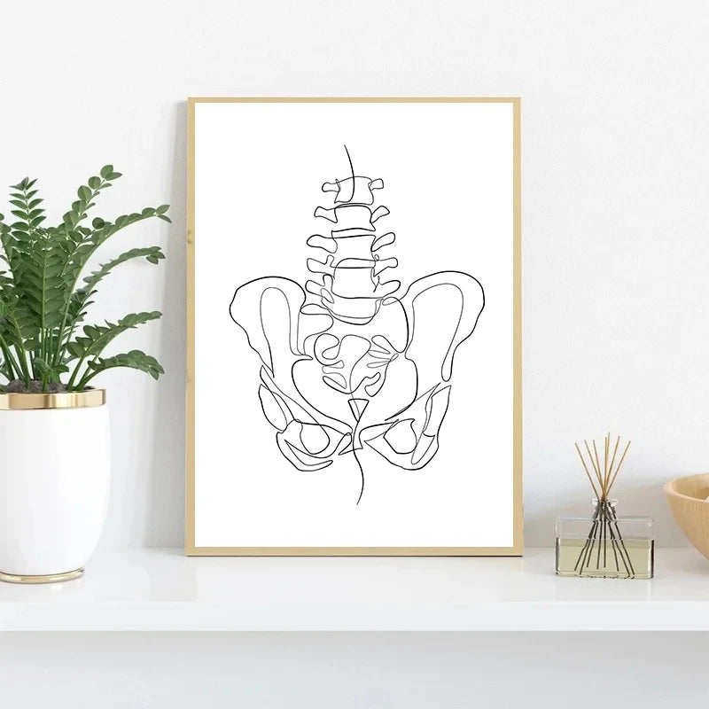 Human Anatomy Skeleton Canvas Wall Art | Medical Line Art Poster