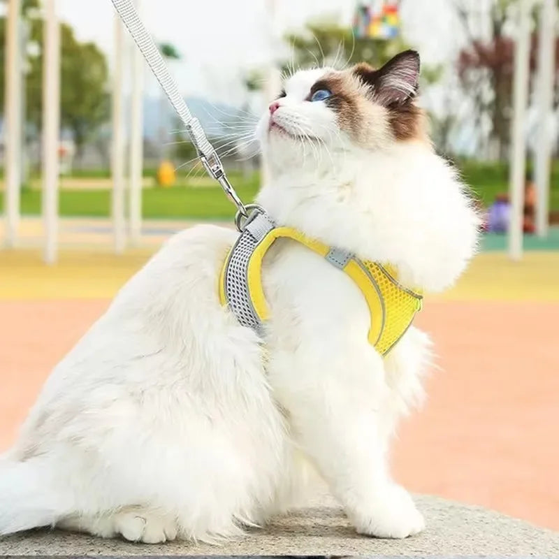 Cat Harness and Belt Set Breathable Accessories for Cats Pet Products Necklace Collar Pets Supplies Home Collars Things Cats Peaceful Pleasures Health and Wellness