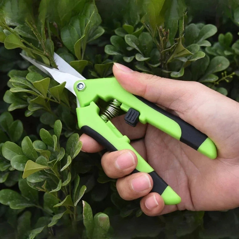 Garden Pruning Shears Stainless Steel Plants Fruit Grape Picking Scissors Horticulture Leaf Trimmer Straight Elbow Pruning Tools Peaceful Pleasures Health and Wellness