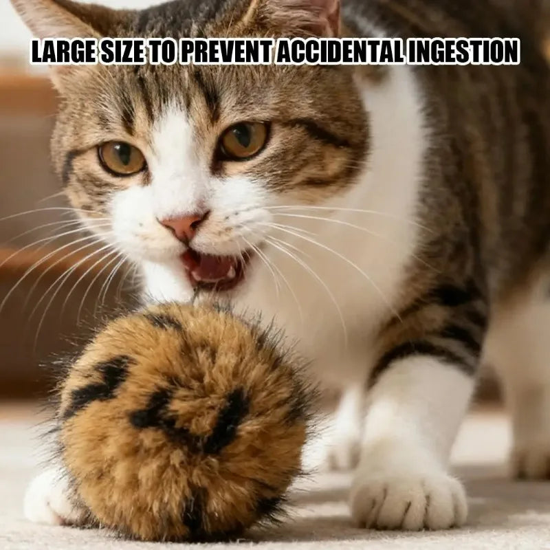 Silent Wool Ball Cat Toys – Interactive Self-Play 1–10 Pack