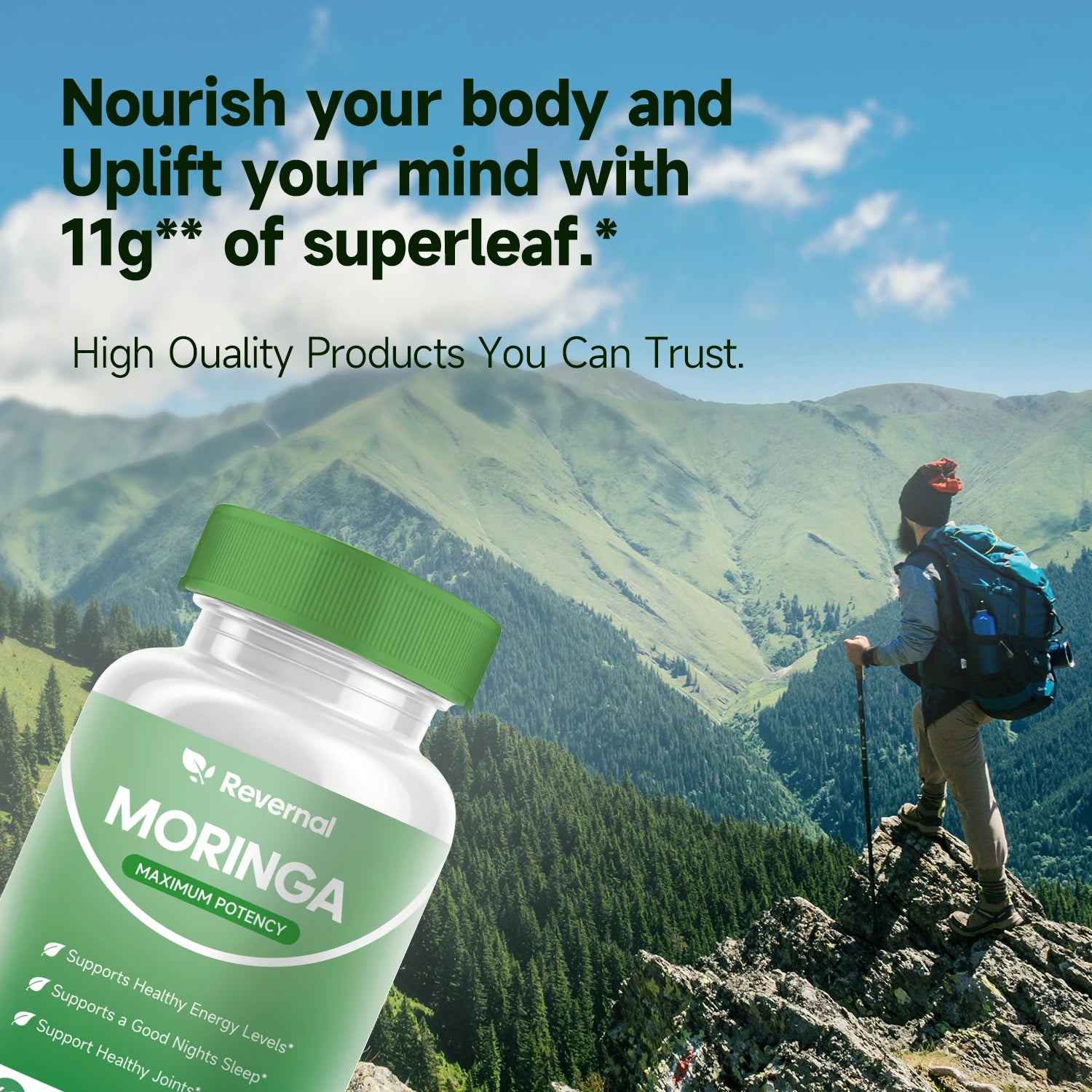 Moringa Powder Capsules 800mg – Pure Antioxidant Superfood | Energy, Immunity & Nutrition Support Peaceful Pleasures Health and Wellness