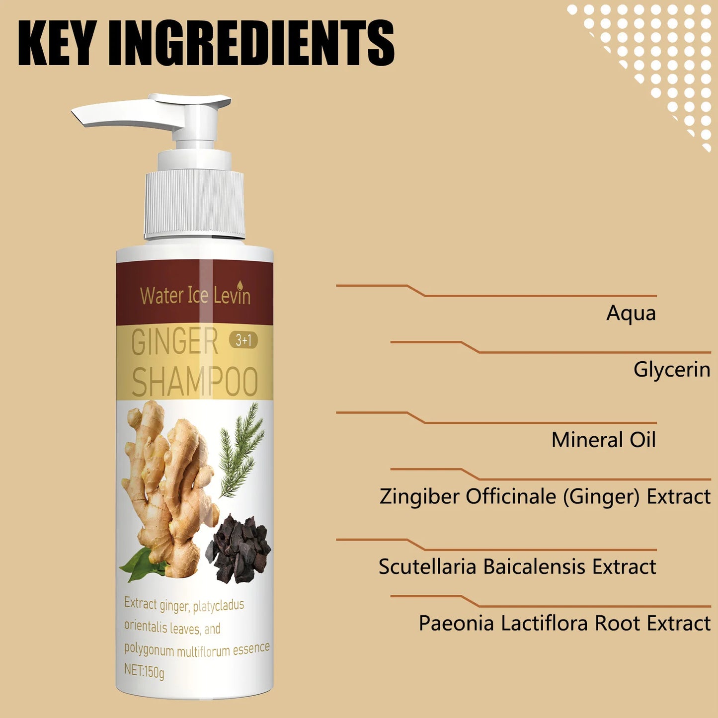 Ginger Regrowth Shampoo – Oil Control & Scalp Nourishment
