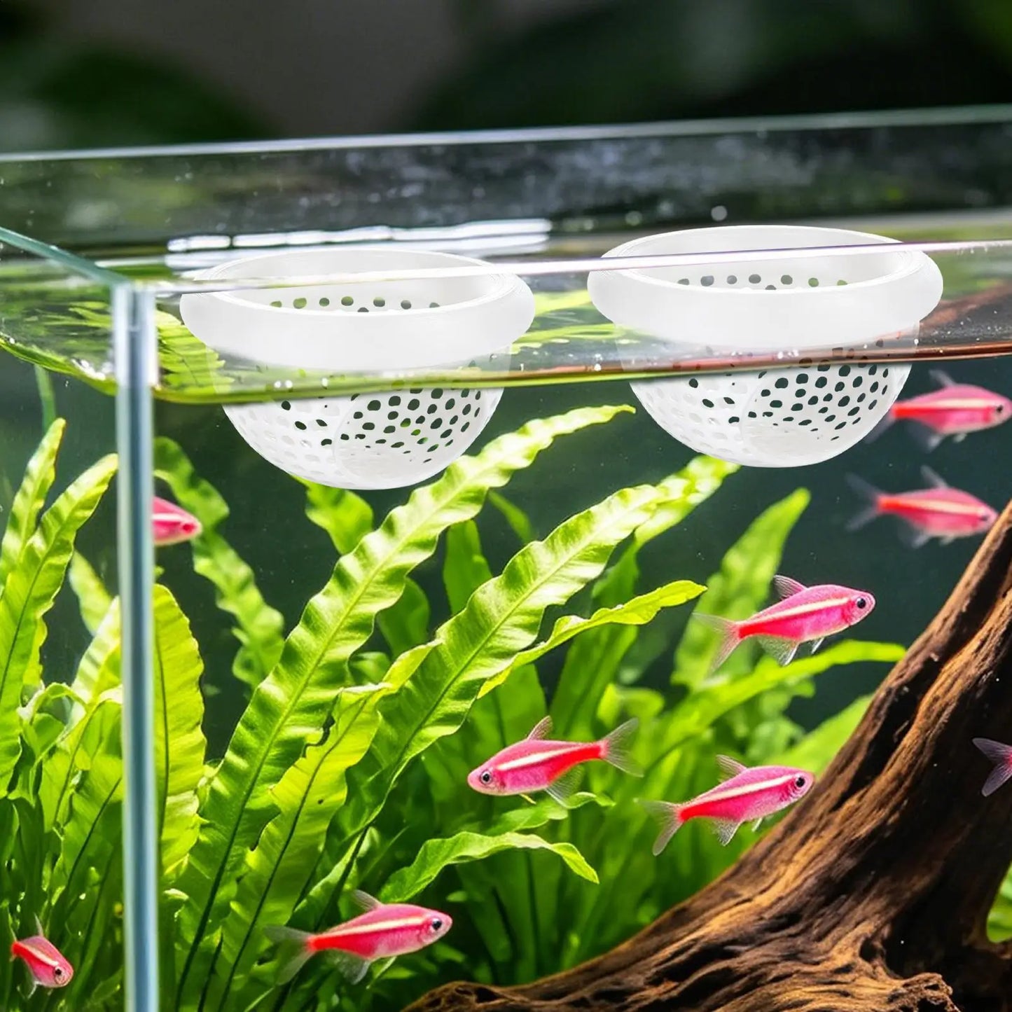 Floating Betta Cave & Shrimp Hideout Hammock – 2-Pack