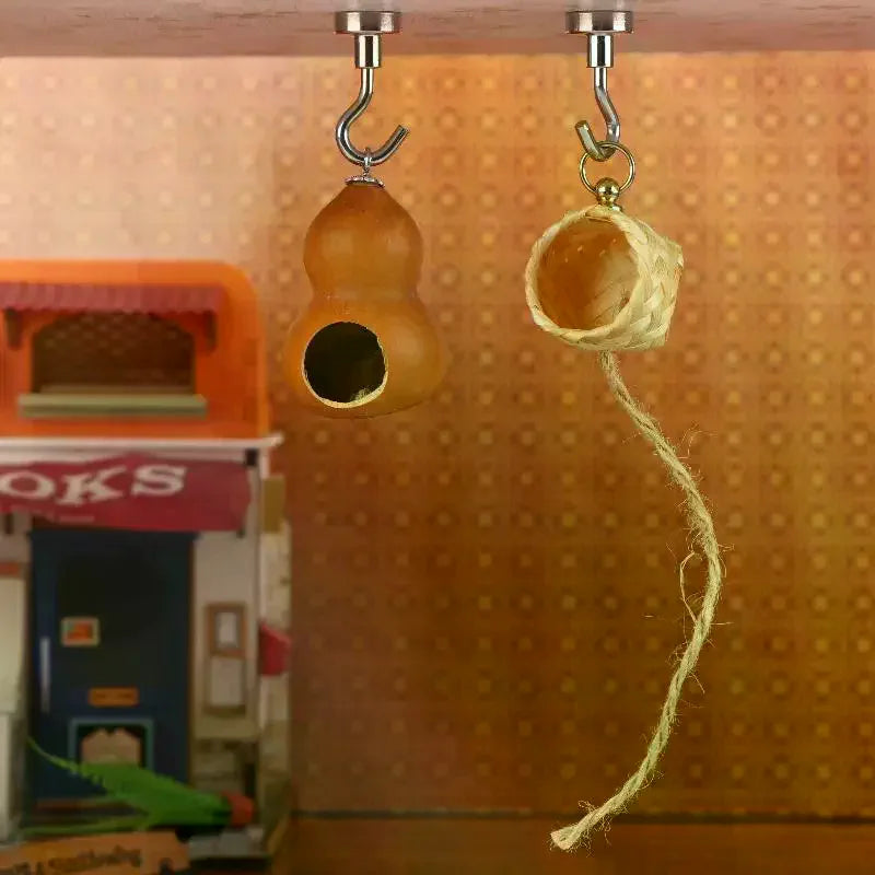Natural Gourd Jumping Spider House | Magnetic Hanging Hideout