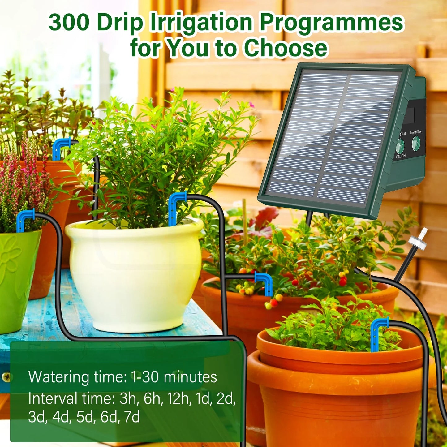 Solar Drip Irrigation System – 10M Hose, 300 Auto Programs