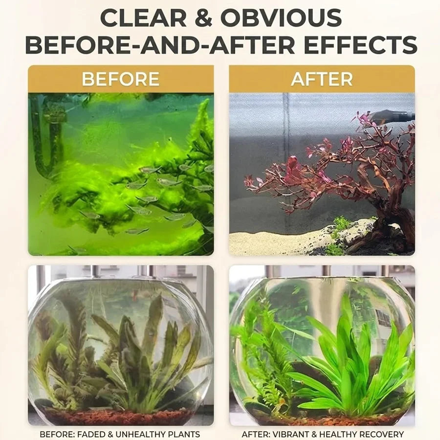 MIRAVEXL Aquarium Algae Control Tablets 150pk – Fish Safe