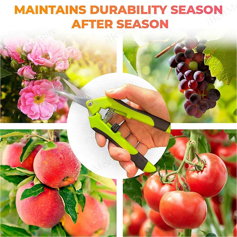 6.5 Inch Gardening Scissors Hand Pruner Pruning Shears Trimming Scissors with Straight Elbow Stainless Steel Blades for Plant Peaceful Pleasures Health and Wellness