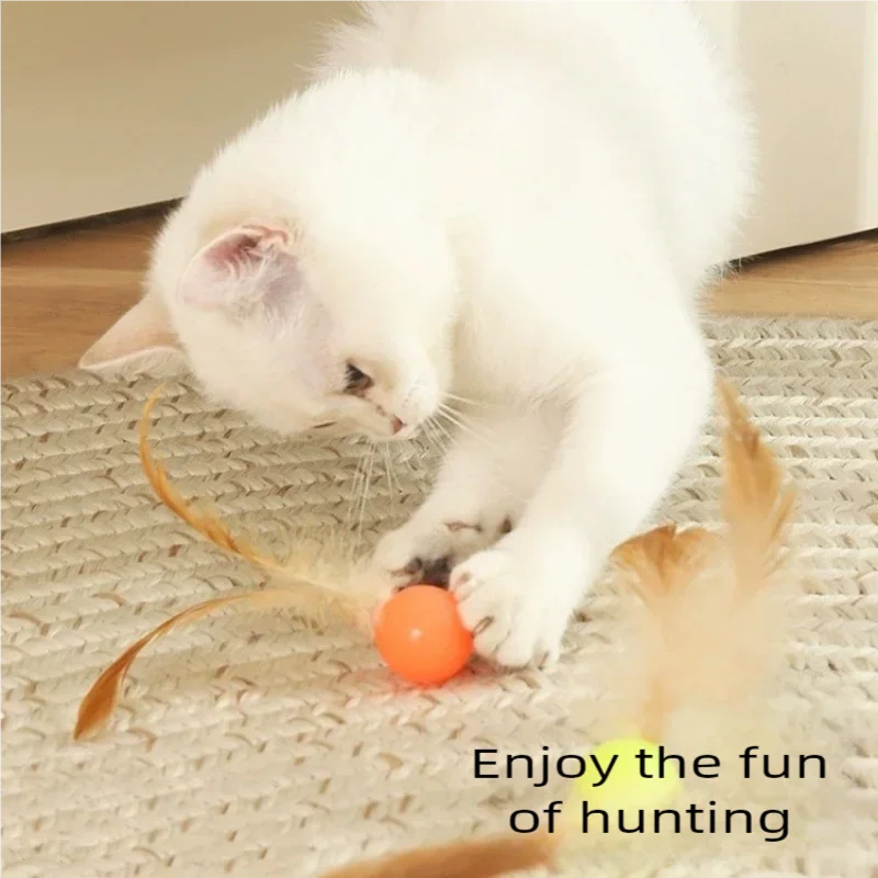 Interactive Feather Elastic Ball Toy for Cats & Dogs Interactive Pet Toy Peaceful Pleasures Health and Wellness