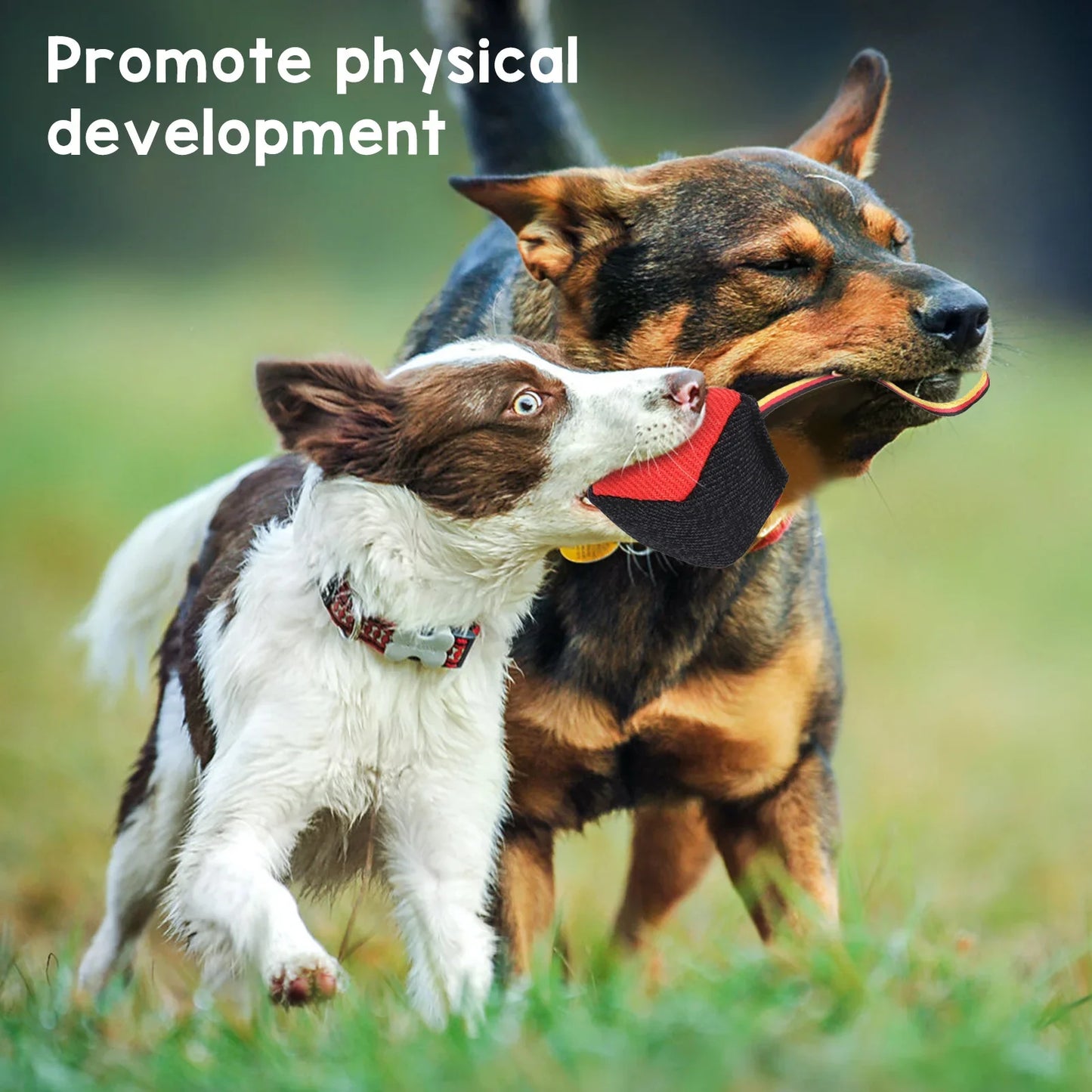 Dog Toy Training Chew Interactive Tear Resistant Multifunctional