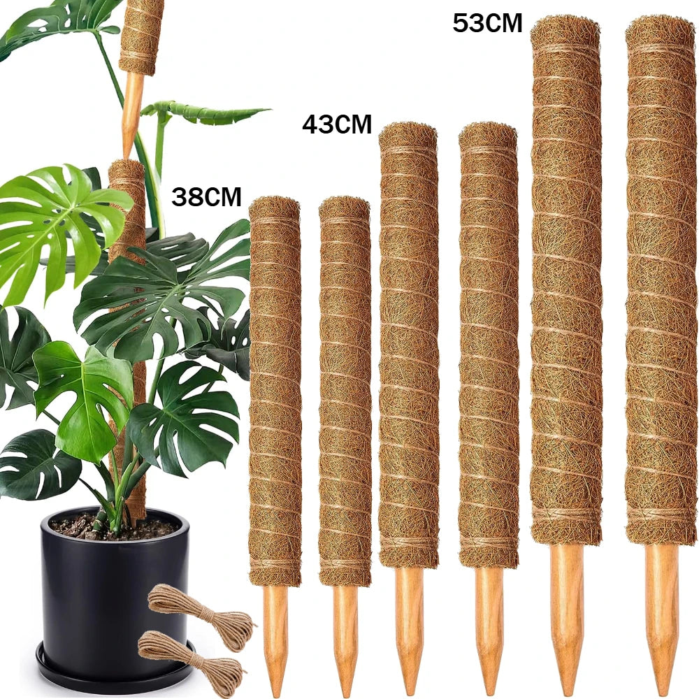 Stackable Moss Poles for Monstera & Climbing Plants | Coir