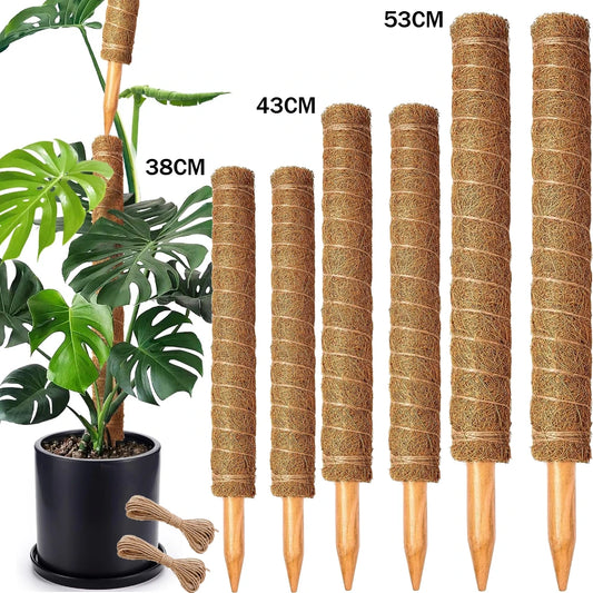 Stackable Moss Poles for Monstera & Climbing Plants | Coir Plant Moss Pole Peaceful Pleasures Health and Wellness