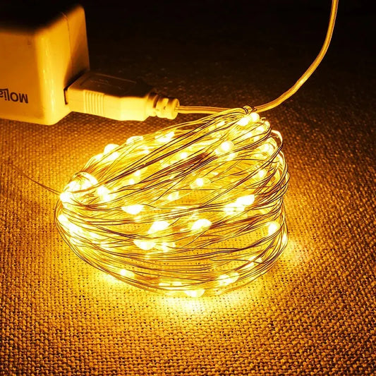 USB LED Fairy String Lights 5M Silver Wire Waterproof Garland LED Fairy String Lights Peaceful Pleasures Health and Wellness Multi Color USB 10M100L