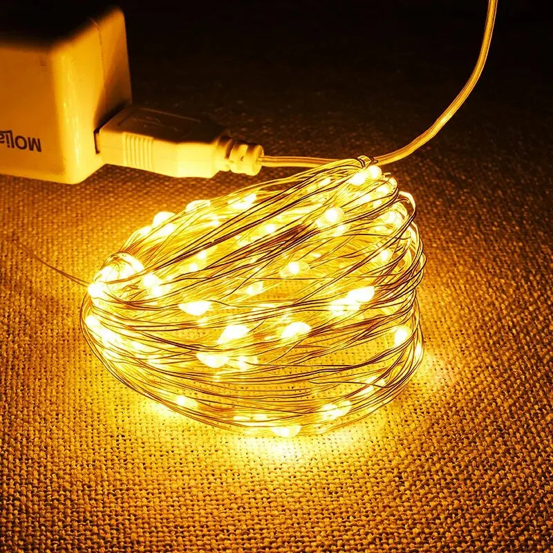 5M USB LED Fairy String Lights | Silver Wire Waterproof Garland