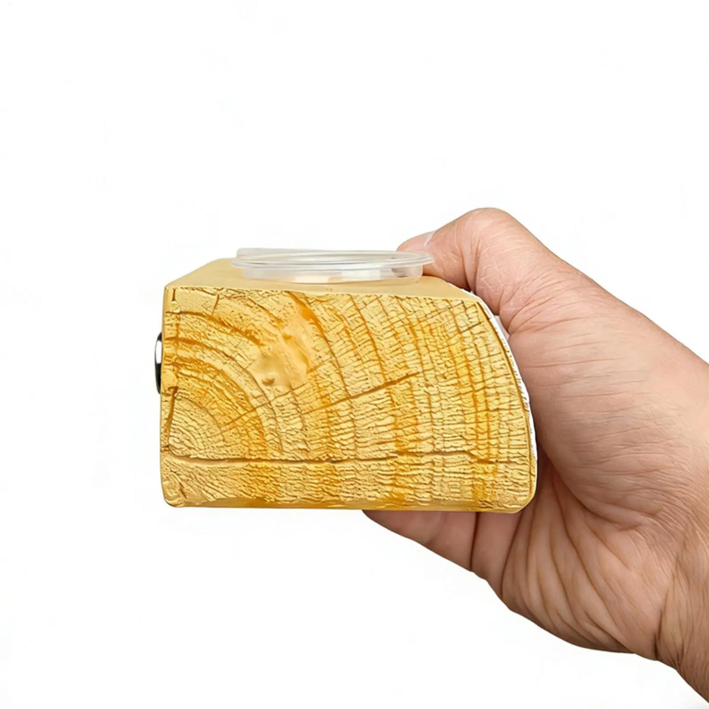 Magnetic Gecko Feeding Ledge with 10 Cups | Reptile Feeder Reptile Feeding Ledge Peaceful Pleasures Health and Wellness China Mainland