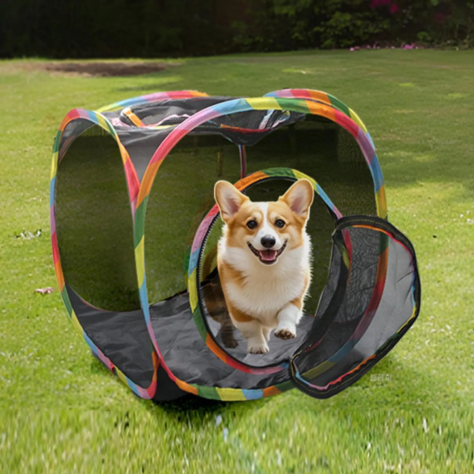 Cat Tent Cube Multi Shape Cat Tunnels Tents Cubes Mesh Foldable House Pet Cat Outdoor Play Cube Outdoor Indoor Play House Peaceful Pleasures Health and Wellness