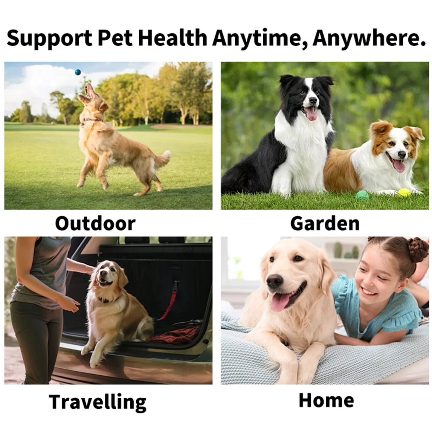 Pet Teeth Cleaning Finger Wipes for Dogs & Cats – 50 Pack