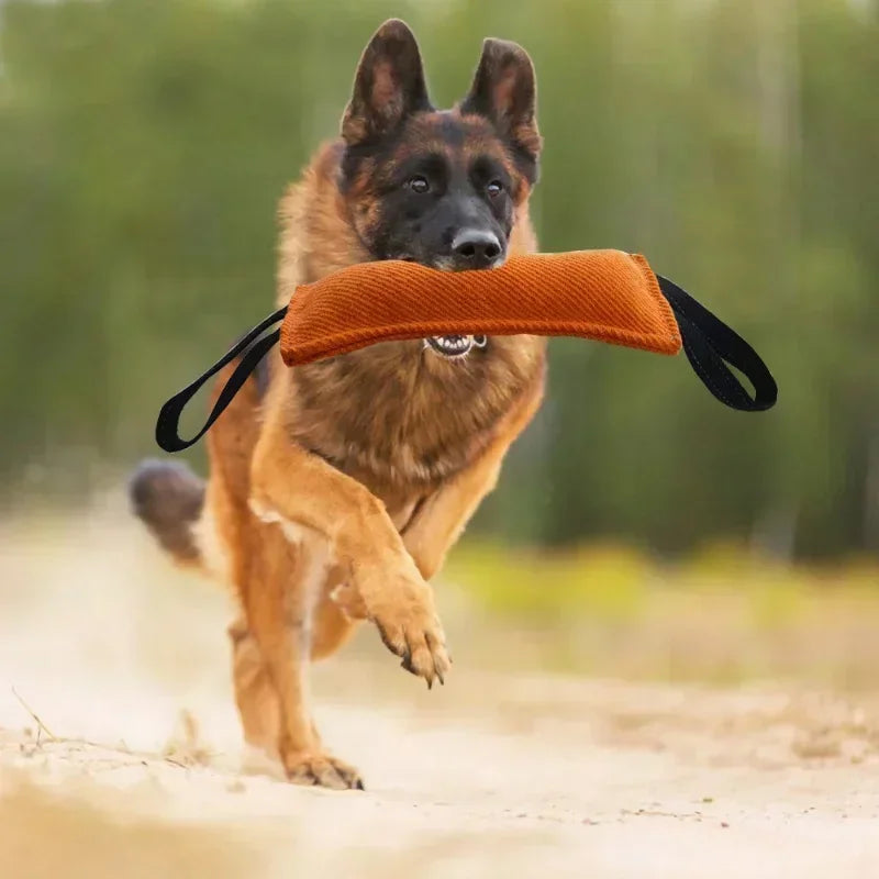 Flax Dog Tug Toy – Durable Bite Stick for Training