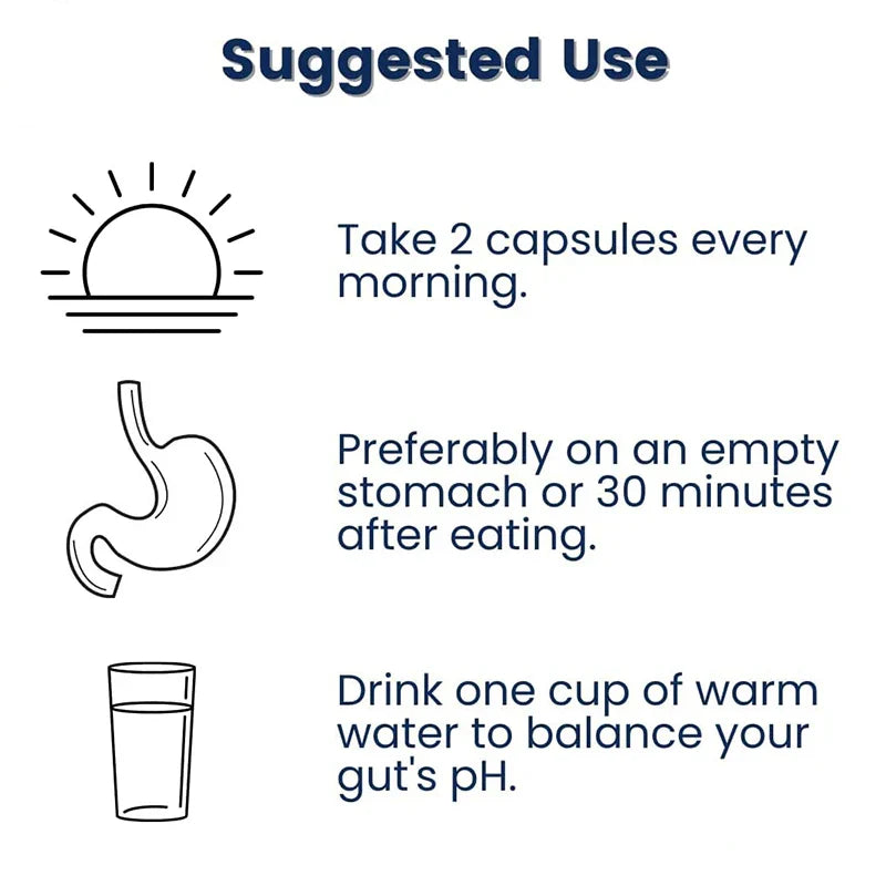 Probiotic Supplement – Gut Health, Digestion & Immune Support