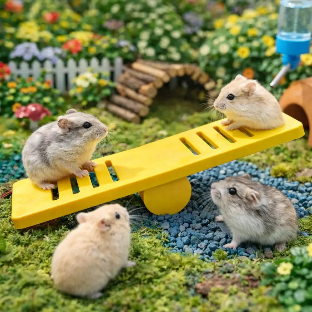 Colorful Hamster Seesaw Toy | Rodent Cage Puzzle & Exercise