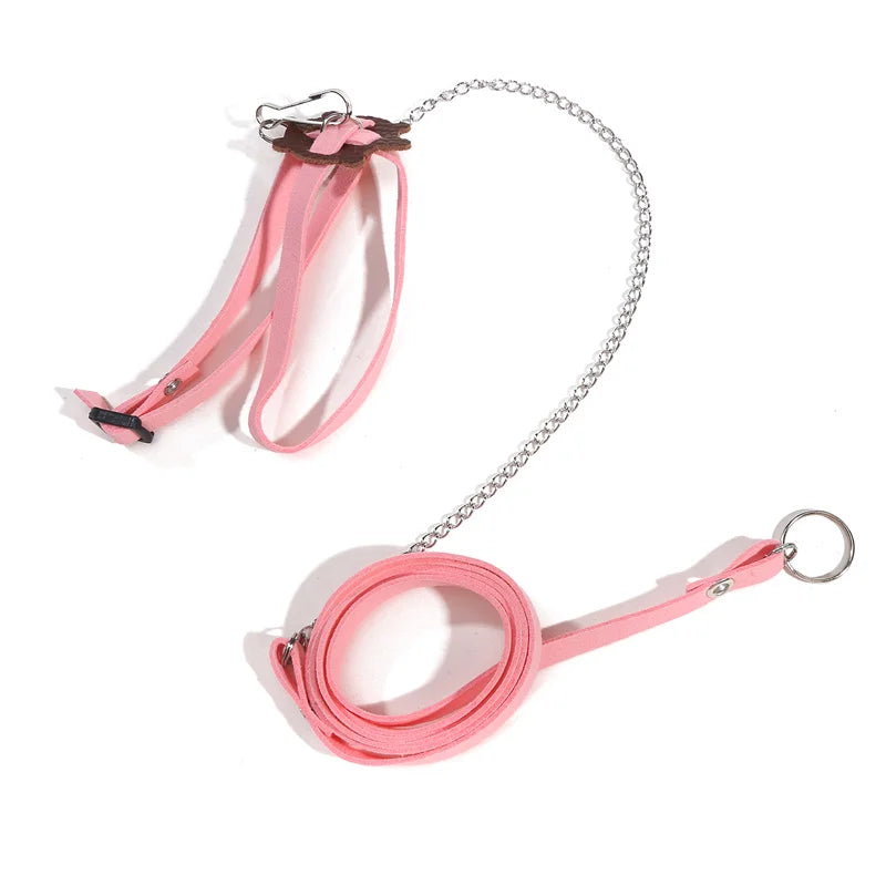 Pet Turtle Leash & Harness – Outdoor Training Traction Belt