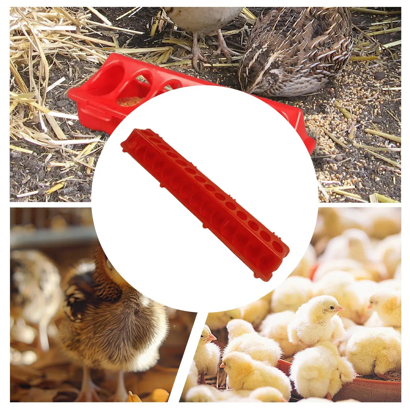 28-Holes Pigeon Feeder Large Capacity Automatic Poultry Feeder For Doves, Quails, Ducks, Baby Chicks, Coop, Cage, Aviary Use Peaceful Pleasures Health and Wellness