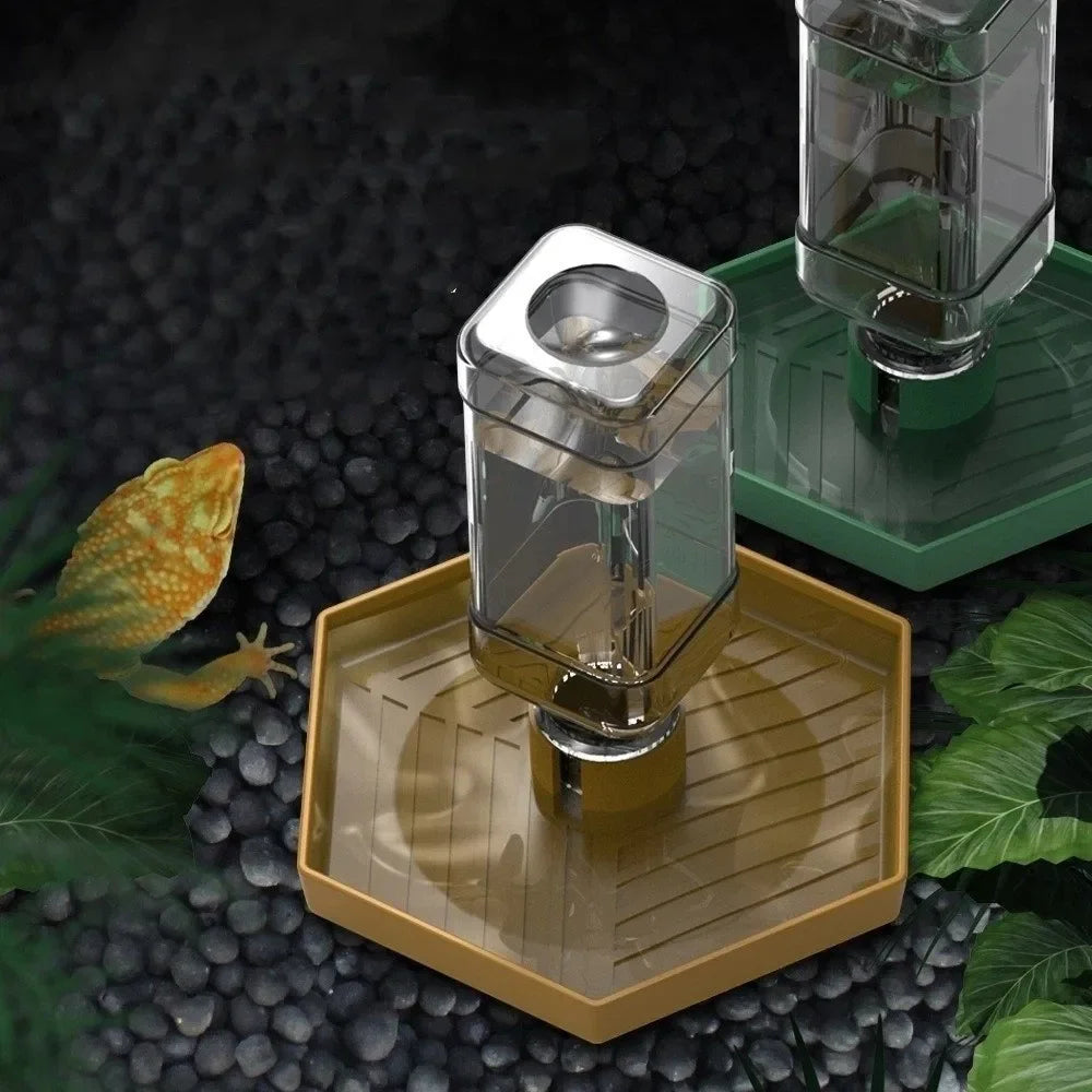 Turtle Water Bowl Anti-Slip Reptile Feeder | Vivarium Dish