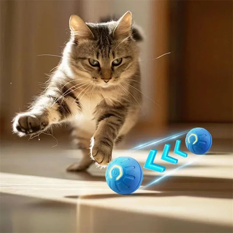 USB Rechargeable Interactive Bouncing Ball for Dogs & Cats