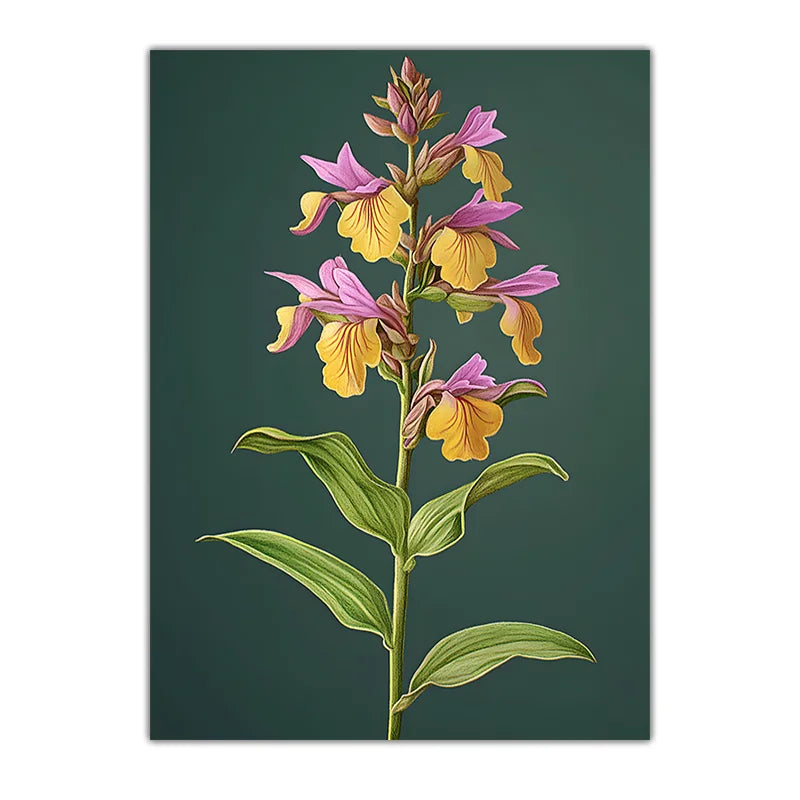 Vintage Botanical Floral Canvas Wall Art | Flower Poster Print Floral Canvas Wall Art Peaceful Pleasures Health and Wellness 05 40x50cm No Frame China Mainland