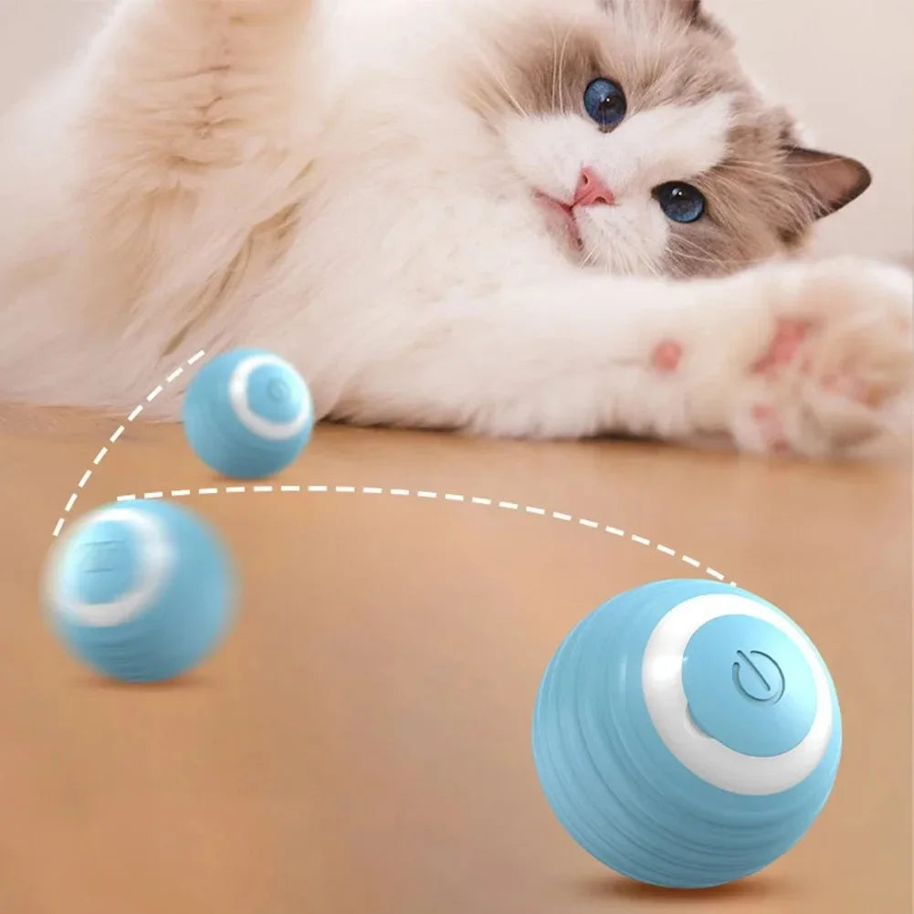 Electric Auto-Rolling Cat Ball Toy | USB Rechargeable Interactive