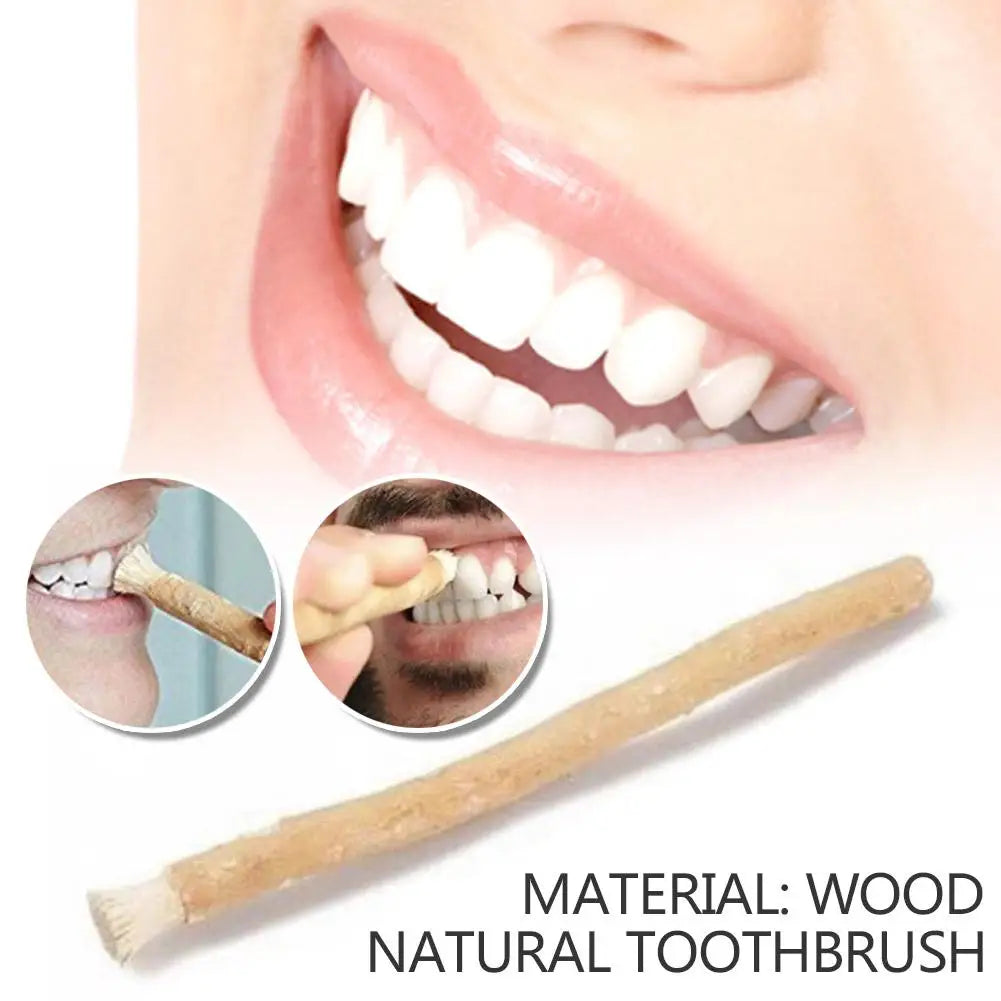 1pc Portable Miswak Siwak Natural Toothbrush Misvak Miswaak Teeth Traditional Arak Travel Whitener Toothbrush Oral Care Peaceful Pleasures Health and Wellness