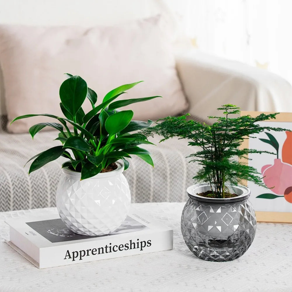 New Self Watering Hydroponic Plants Pot Plastic Removable Flowerpot Mini Succulent Planter Tabletop Vase Peaceful Pleasures Health and Wellness