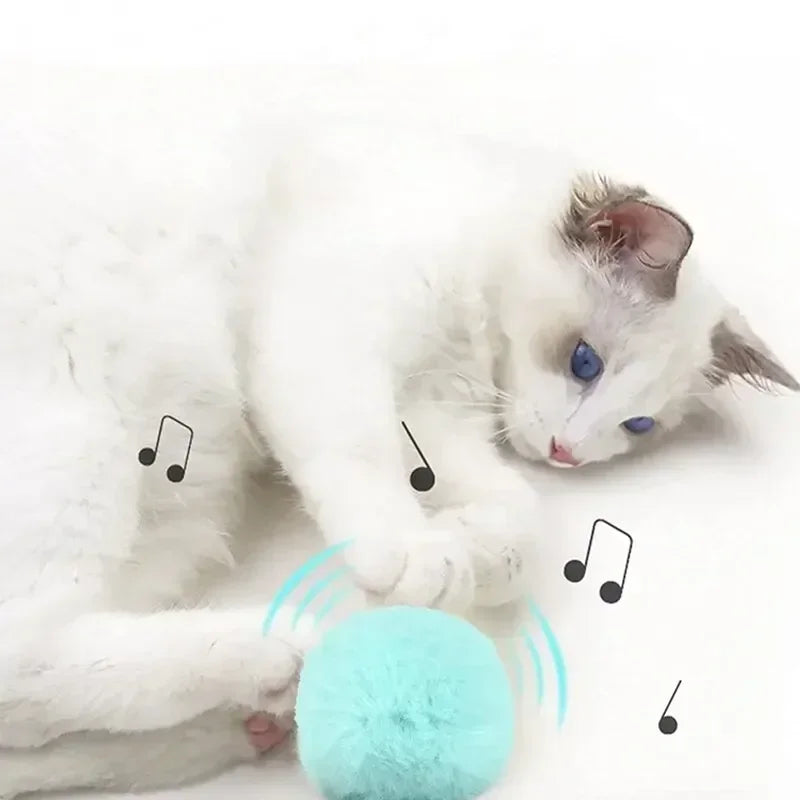 Interactive Plush Catnip Sound Ball Toy for Cats & Kittens