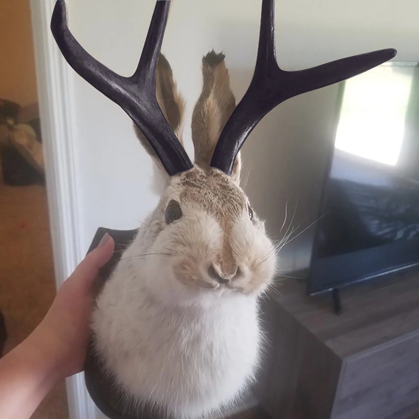 Easter Gift Bunny Head Antlers Wall Hanging Decoration Wall Decor Simulation Rabbit Specimen Resin Art Ornaments Jackalope Decor Peaceful Pleasures Health and Wellness