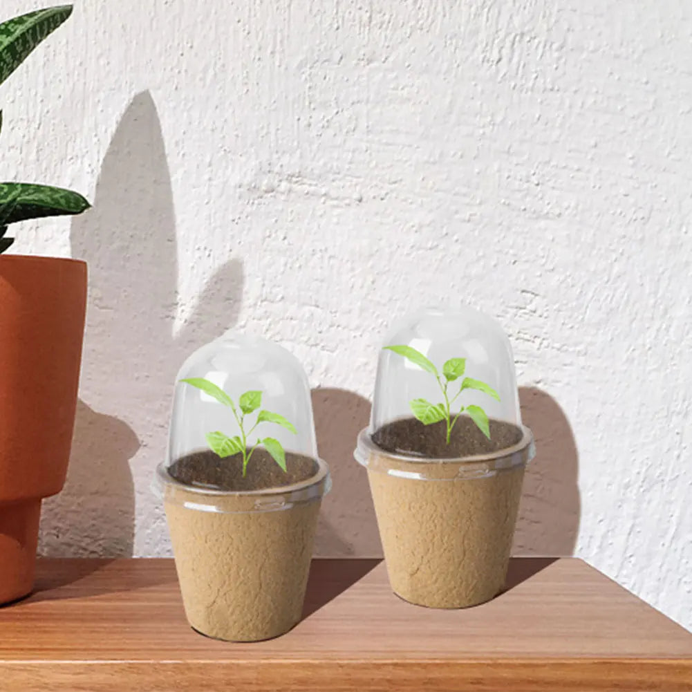 10Pcs Seedling Cup Seedling Pot Transparent Lid Greenhouse Breeding Box Biodegradable Plant Growing Cup Versatile for Gardening Peaceful Pleasures Health and Wellness