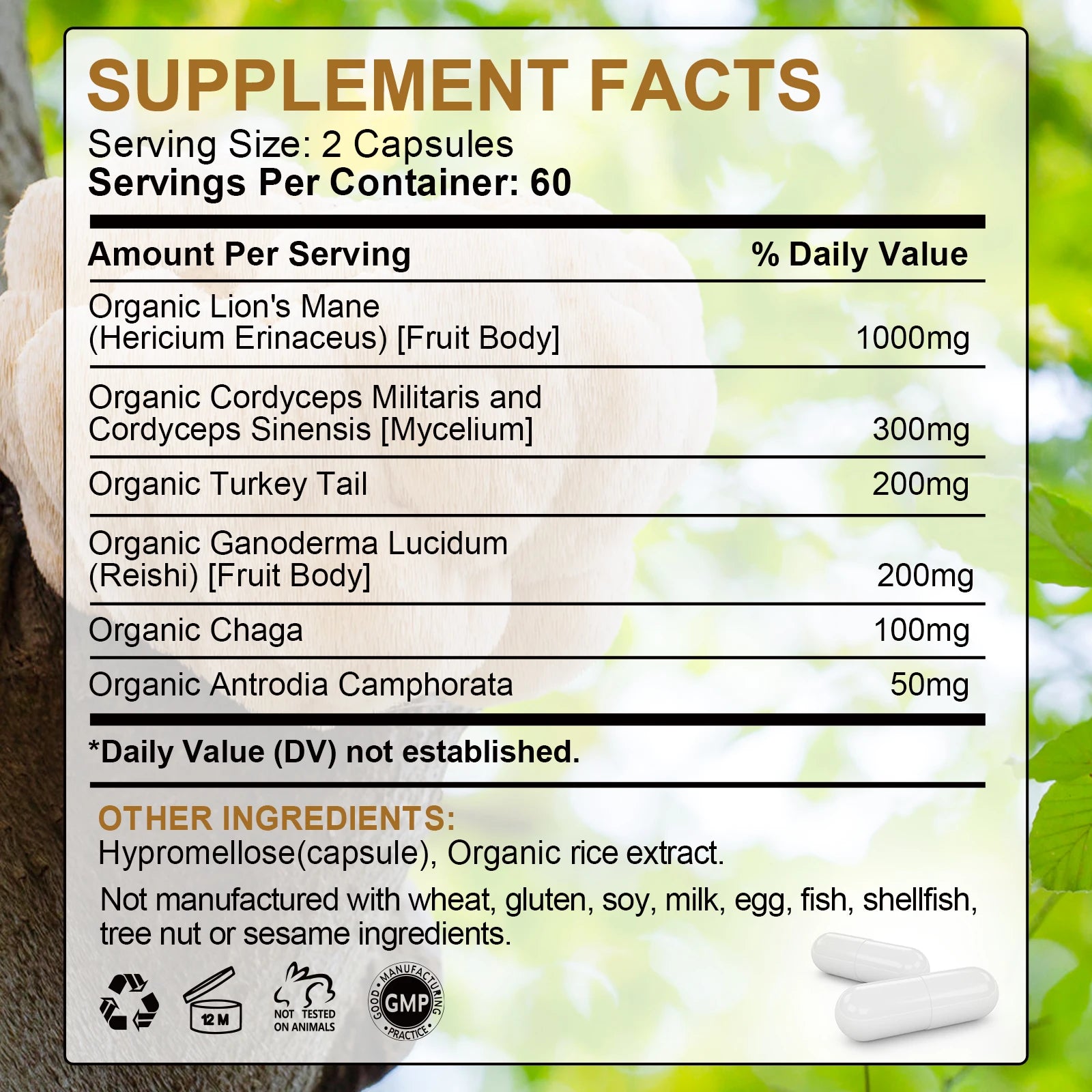 Lion’s Mane & 10-Mushroom Complex – Brain & Immune Support Peaceful Pleasures Health and Wellness