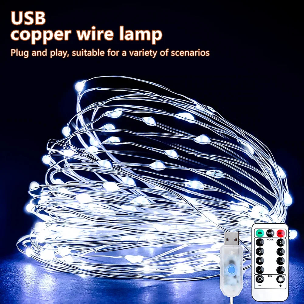 USB LED Copper Wire Fairy String Lights 5M/10M/20M Waterproof