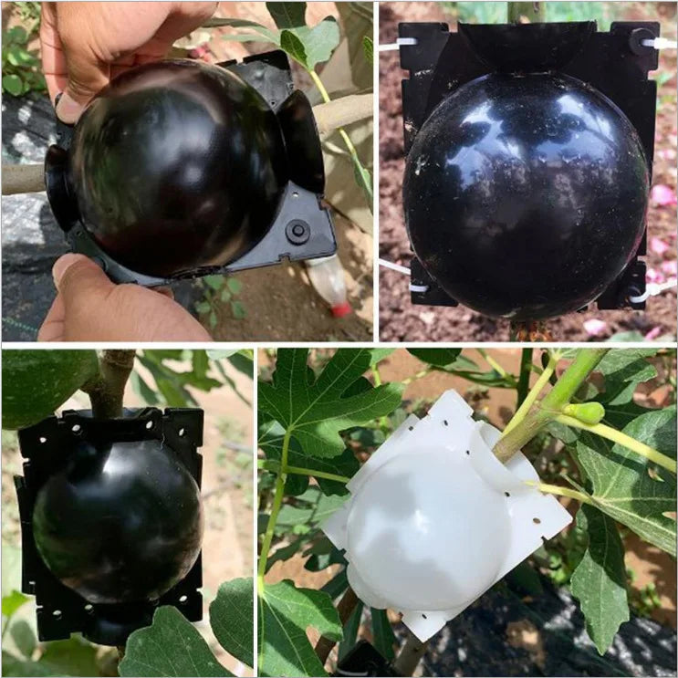 Reusable Plant Rooting Balls – Air Layering Propagation Kit