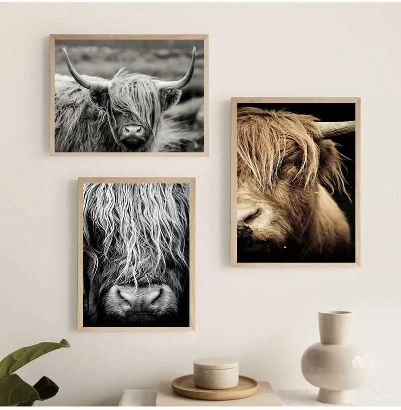 Scottish Highland Cattle Canvas Wall Art | Modern Animal Print
