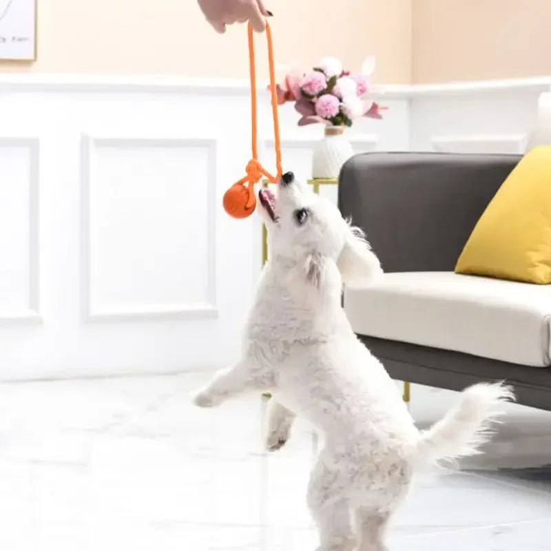 Cotton Rope Ball Dog Toy – Interactive Tug, Fetch & Chew